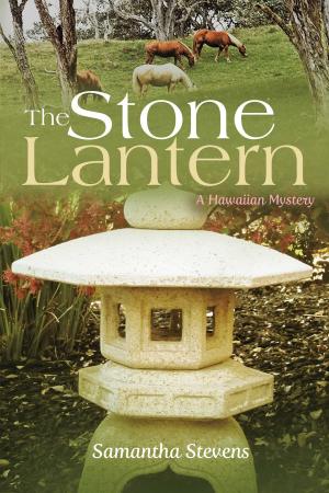 Cover of the book The Stone Lantern by Mike Shay