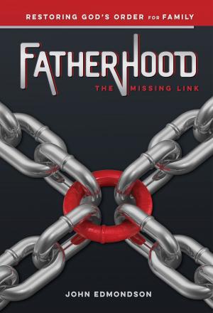 Cover of the book Fatherhood: The Missing Link by Nachman Berkowitz