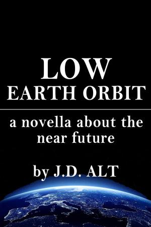 Cover of the book Low Earth Orbit by Kenneth Reece