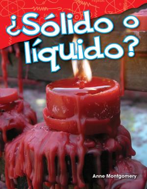 Cover of the book ¿Sólido o líquido? by Prior, Jennifer