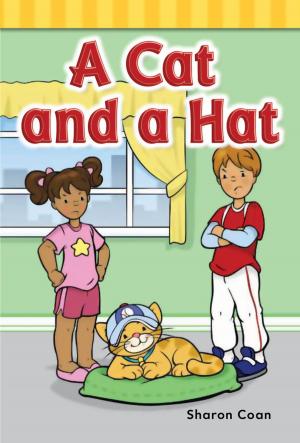 Cover of the book A Cat and a Hat by Sharon Coan