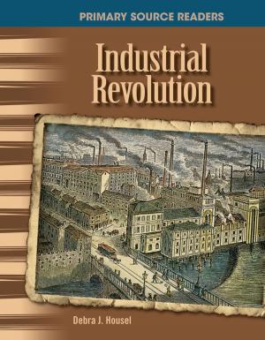 Cover of the book Industrial Revolution by William B. Rice