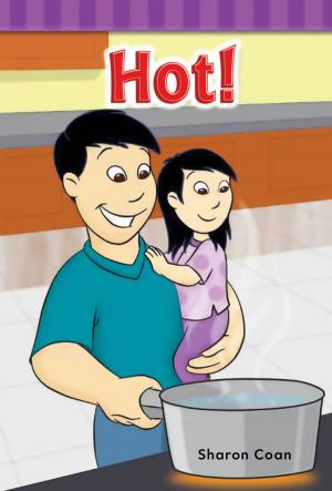 Cover of the book Hot! by Diana Noonan