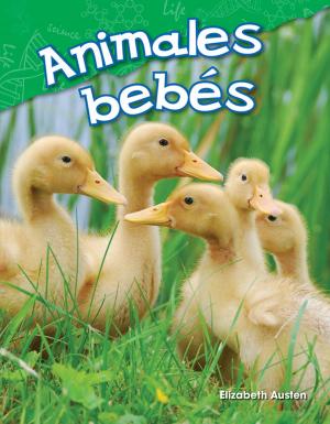Cover of the book Animales bebés by Rice Dona Herweck