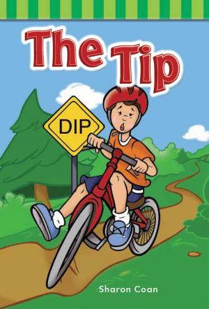 Cover of the book The Tip by William B. Rice