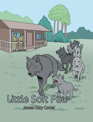 Cover of the book Little Soft Paw by Timothy R. Bartlett