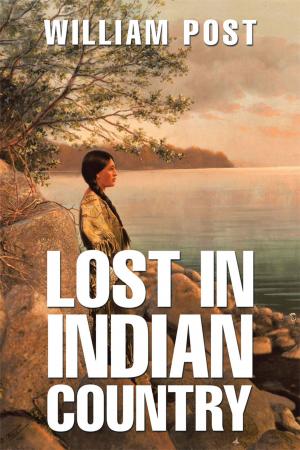 Cover of the book Lost in Indian Country by Joann Ellen Sisco