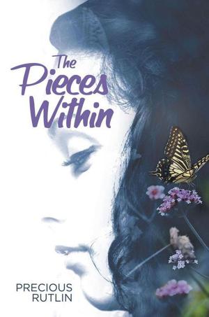 Cover of the book The Pieces Within by Peter B Cannon