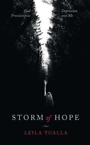 Cover of the book Storm of Hope by Neeti Tibrewala