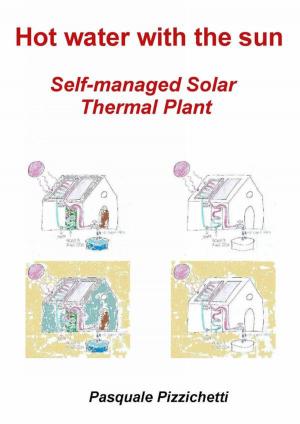 Book cover of Self-Managed Solar Thermal Plant