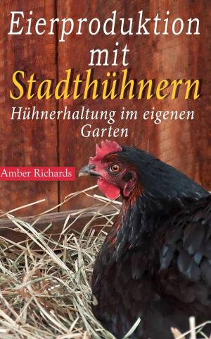 Cover of the book Eierproduktion mit Stadthühnern by Sky Corgan