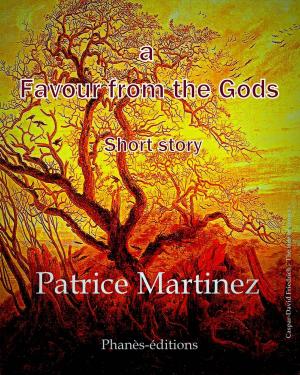 Cover of the book A favour from the gods by Marilyn Vix