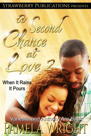 Cover of the book A Second Chance at Love 2: When It Rains It Pours by Liz Fielding
