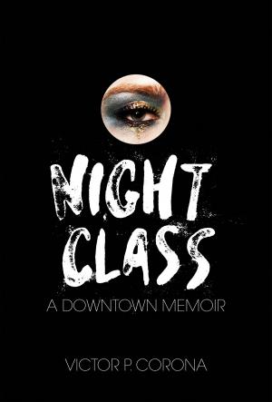 Cover of the book Night Class by Scarlett Thomas