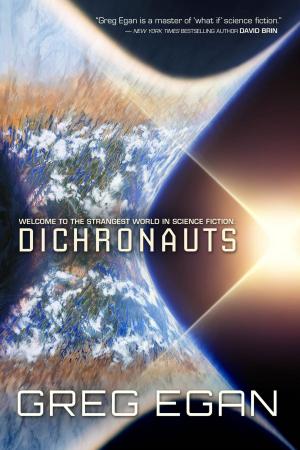 Cover of the book Dichronauts by Martha Wells