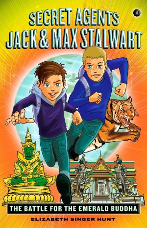 Cover of the book Secret Agents Jack and Max Stalwart by Ilyse Mimoun