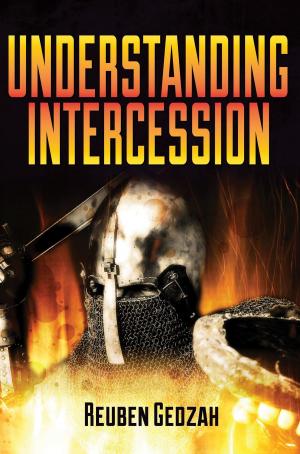 Cover of the book Understanding Intercession by Peter Damian