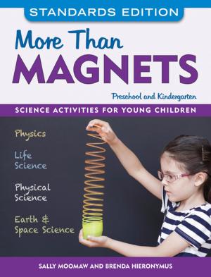 Book cover of More than Magnets, Standards Edition