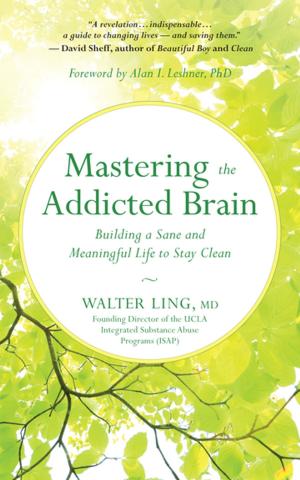 Cover of the book Mastering the Addicted Brain by Sam Bennett