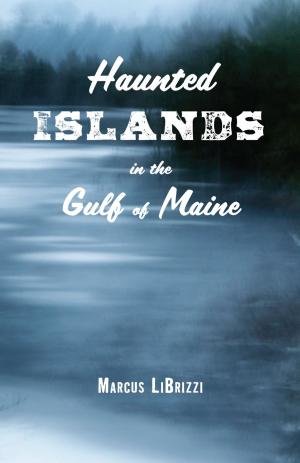 Cover of the book Haunted Islands in the Gulf of Maine by Holly Nadler