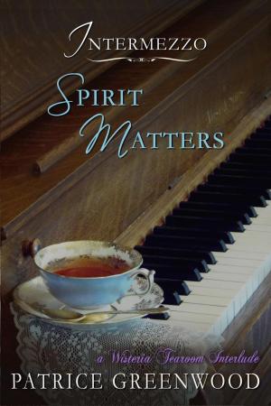 Book cover of Intermezzo: Spirit Matters