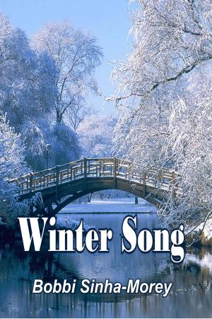 Cover of the book Winter Song by Nancy Werlin