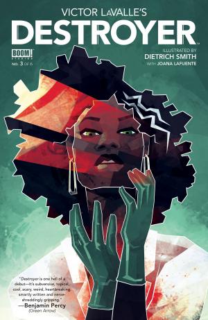 Book cover of Victor LaValle's Destroyer #3