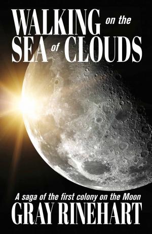 Cover of the book Walking on the Sea of Clouds by Kevin J. Anderson, Rebecca Moesta