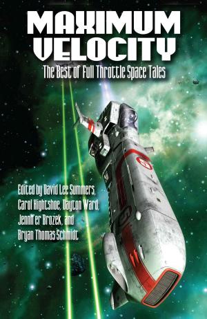 Cover of the book Maximum Velocity by Bonnie Lacy