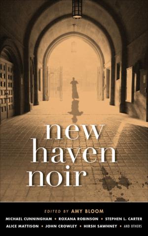 Cover of New Haven Noir