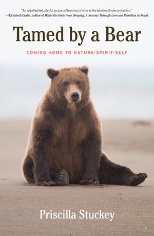 Cover of the book Tamed By a Bear by David Biespiel