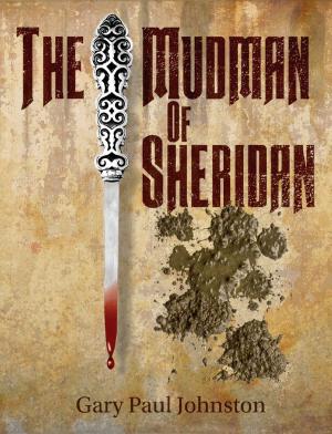 Book cover of The Mudman of Sheridan