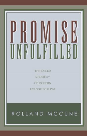 Cover of the book Promise Unfulfilled by Robert Leslie Holmes