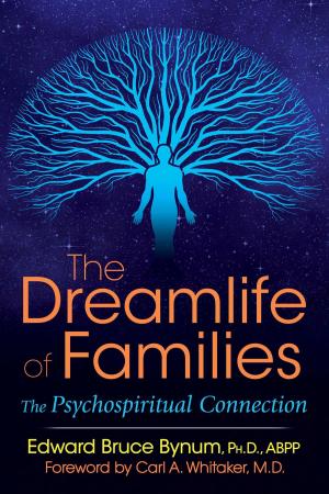 Cover of the book The Dreamlife of Families by Trinity R. Westfield