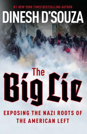 Cover of the book The Big Lie by David Horowitz