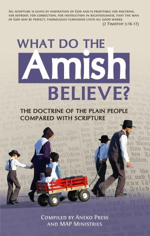 Cover of the book What Do the Amish Believe?: The Doctrine of the Plain People Compared with Scripture by Nathan Lorick
