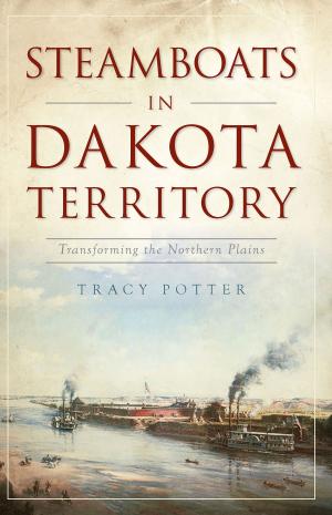 Book cover of Steamboats in Dakota Territory