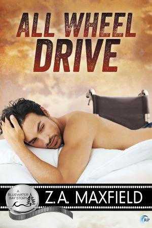 Cover of the book All Wheel Drive by Christine d'Abo