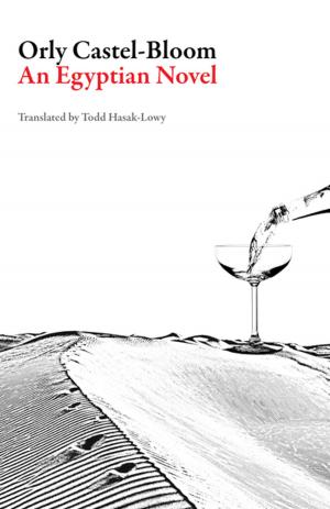 Cover of the book An Egyptian Novel by Dumitru Tsepeneag