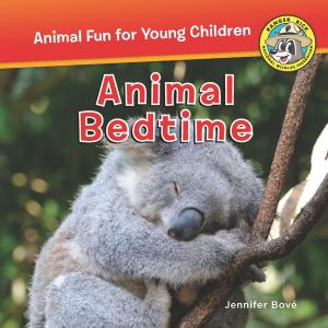 Cover of the book Animal Bedtime by Jennifer Bové