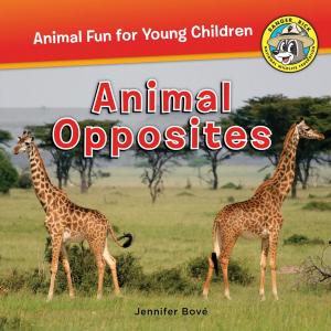 Cover of the book Animal Opposites by Jennifer Bové