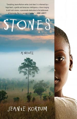 Cover of the book Stones by Kim Chernin