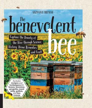Cover of the book The Benevolent Bee by Claude Boucher, France Desjardins, Pierre Giovenazzo, Jocelyn Marceau, André Pettigrew, Hugo Tremblay, Nicolas Tremblay, Émile Houle