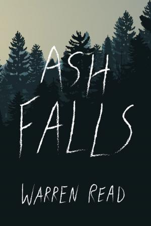 bigCover of the book Ash Falls by 