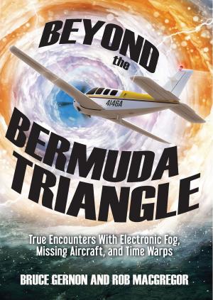 Book cover of Beyond the Bermuda Triangle