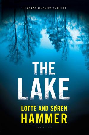 Cover of the book The Lake by Mr Benjamin Hulme-Cross