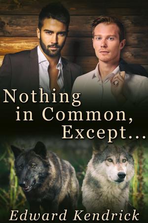 Cover of the book Nothing In Common, Except ... by Nell Iris