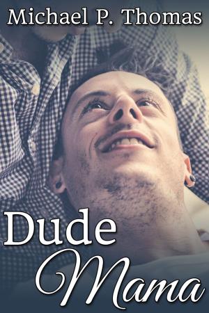 Book cover of Dude Mama
