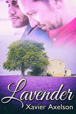 Cover of the book Lavender by J.M. Snyder