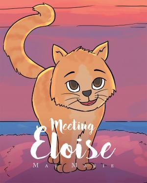 Cover of the book Meeting Eloise by Michael Cochran
